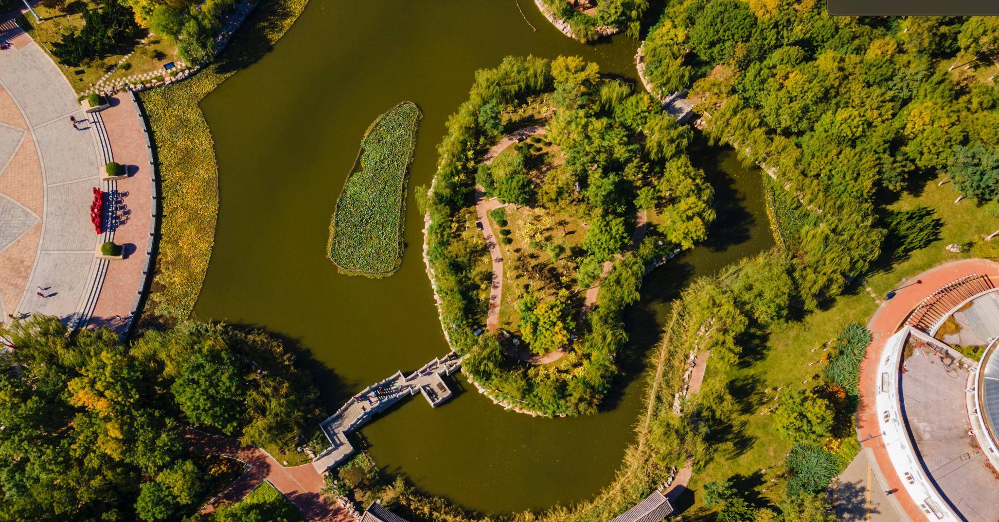 天津大港公园,孩子能玩一天,大人能坐一天的家门口的森林公园_摄影