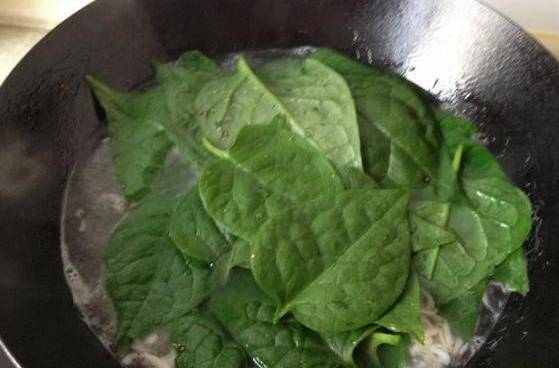 大耳朵菜的功效与作用_人们_治疗_食用