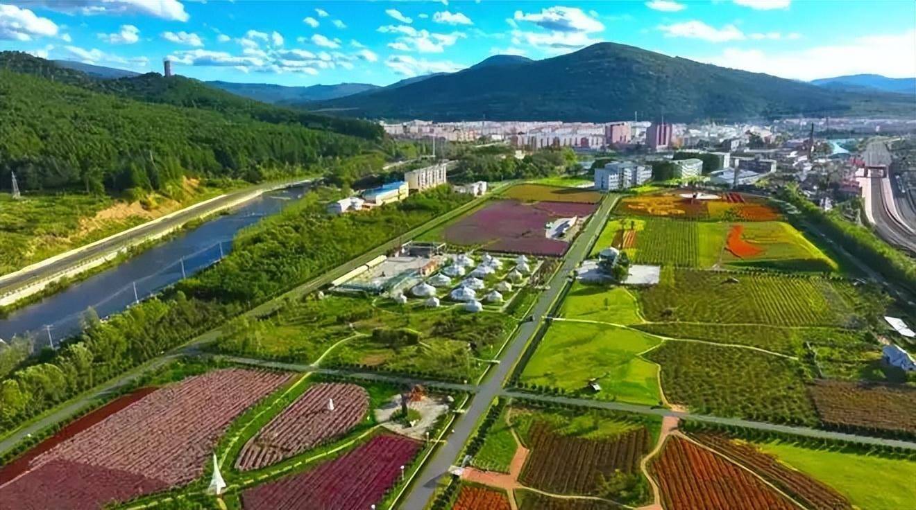 伊春友好区公益性岗位招聘77人~ 给予岗位补贴和社会保险补贴_人员