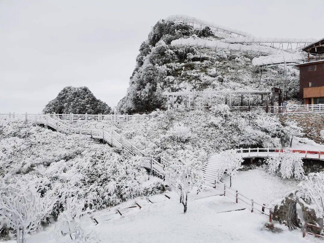 大降雪!八台山又又又开始下大雪了!