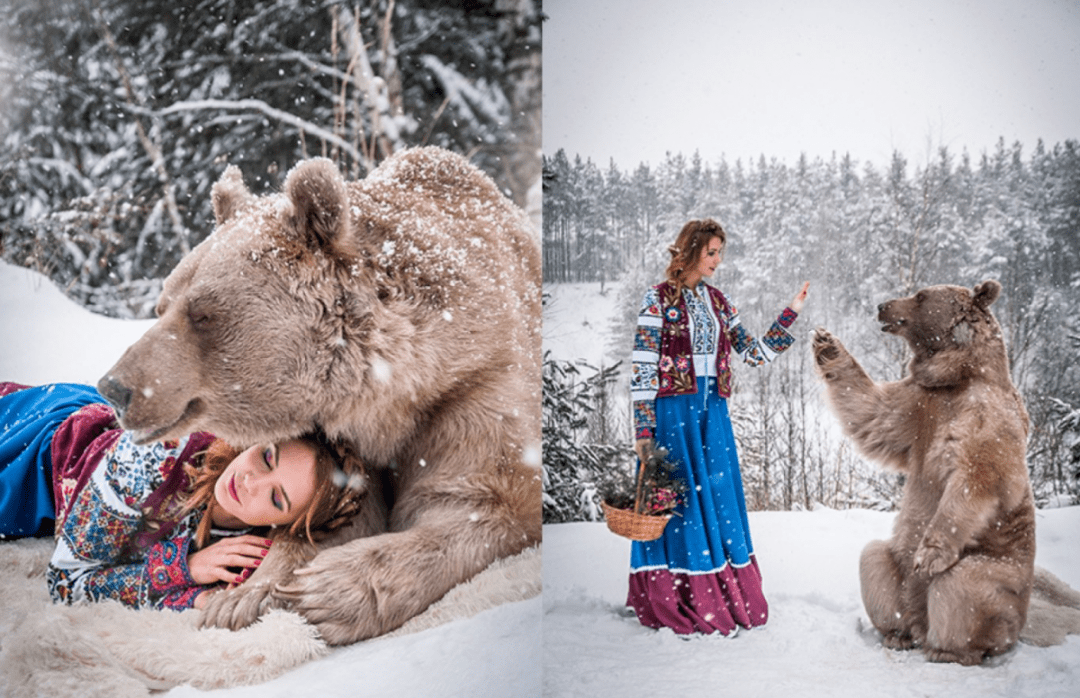 为什么在俄罗斯人面前如此乖巧?_棕熊_东北_动物