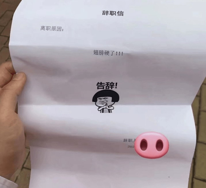 00后大学生“低情商”辞职信，理由好直接，老板看后默默签字