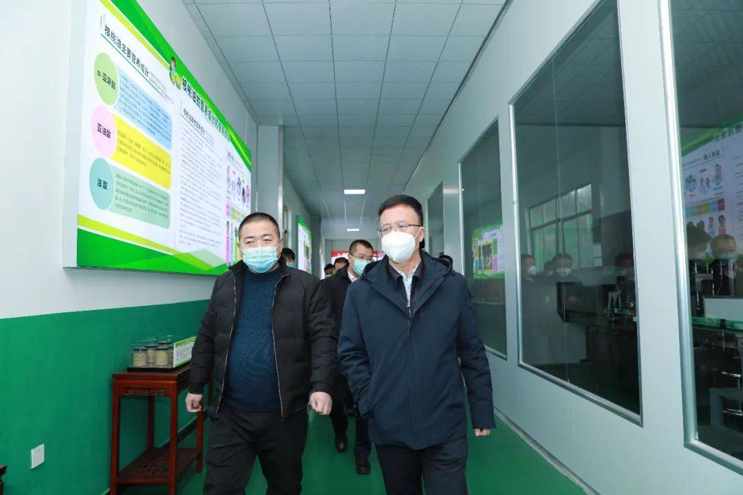 甘肃省公路事业发展主中心主任张军仁莅临陇小南调研_核桃_产业优势