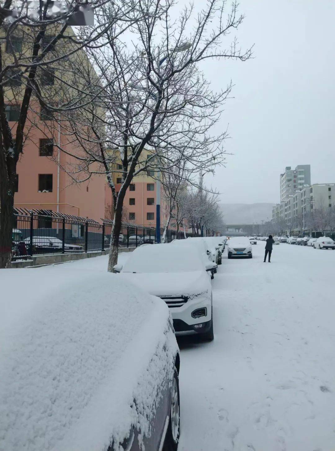 西宁雪景图片