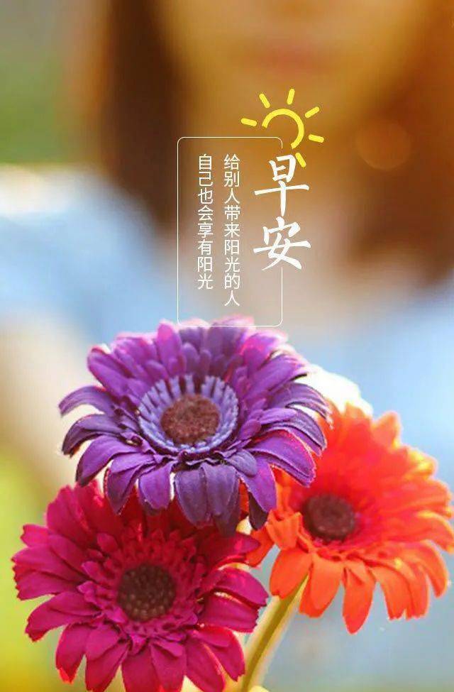 微笑向阳,携一份喜悦,满怀憧憬,拥抱阳光,快乐向上,周五早安!