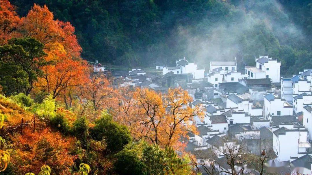 江西婺源:长溪村秋色风光._图片_摄影_游客
