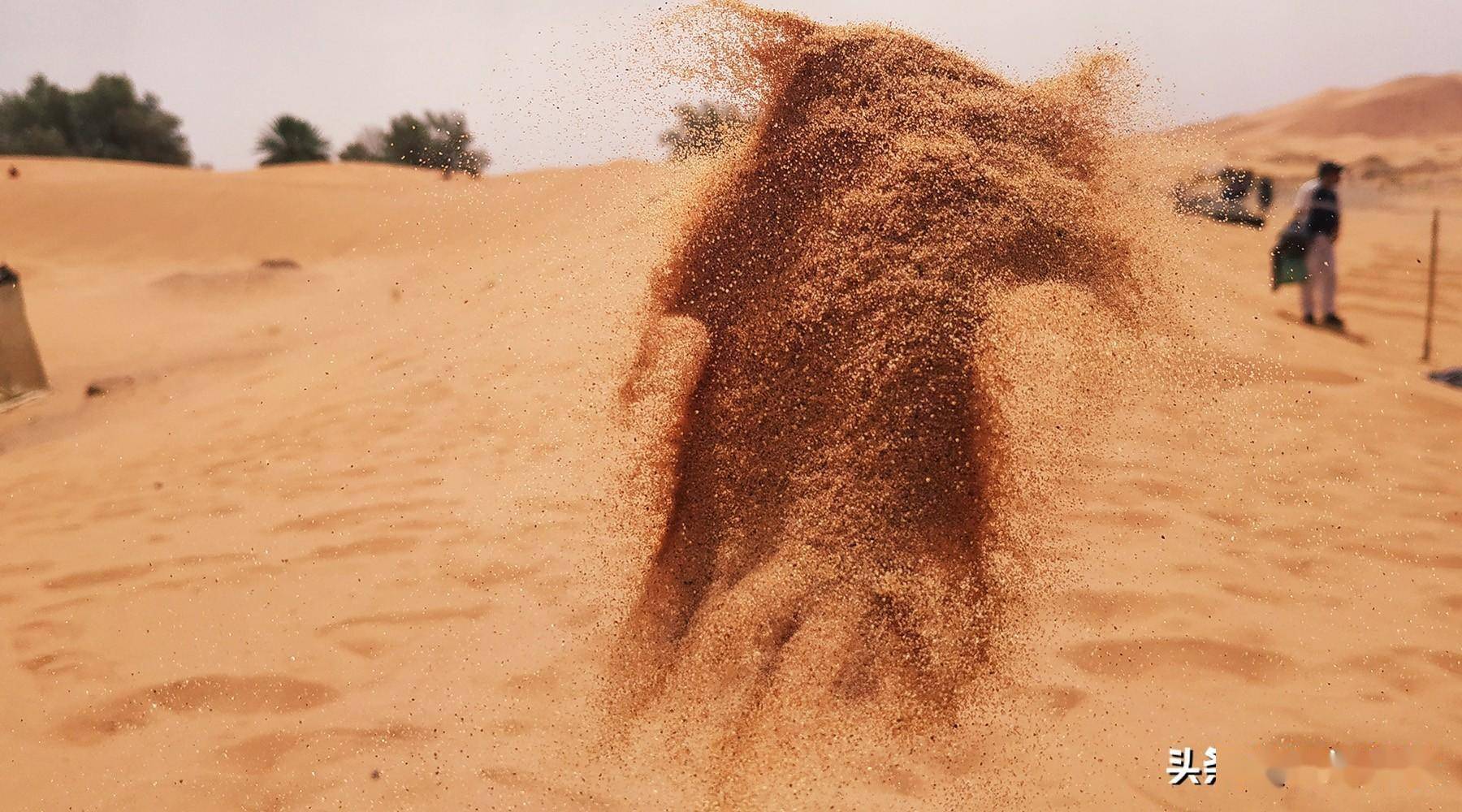 干流沙的形成只需要"风"和"沙",而这两样东西沙漠里全有,而且还不少