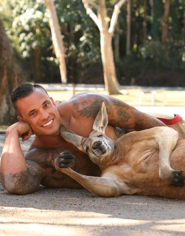 半裸消防员抱猫宣传,网友:抱我!抱我_日历_澳洲_猛男