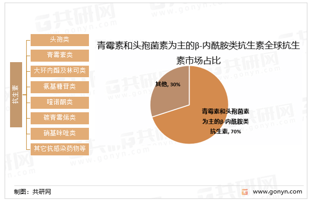 青霉素和头孢菌素为主的β-内酰胺类抗生素全球抗生素市场占比抗生素