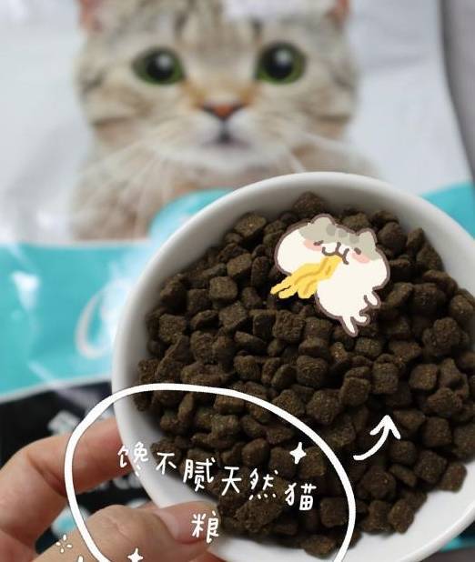 什么猫粮牌子又廉价又好？性价比养猫好物の馋不腻全价猫粮！