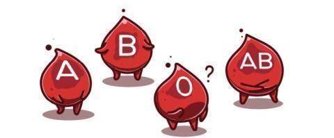 联合!熊猫血为什么不能告诉别人"孕育明天"-第1张图片-佩珍博客