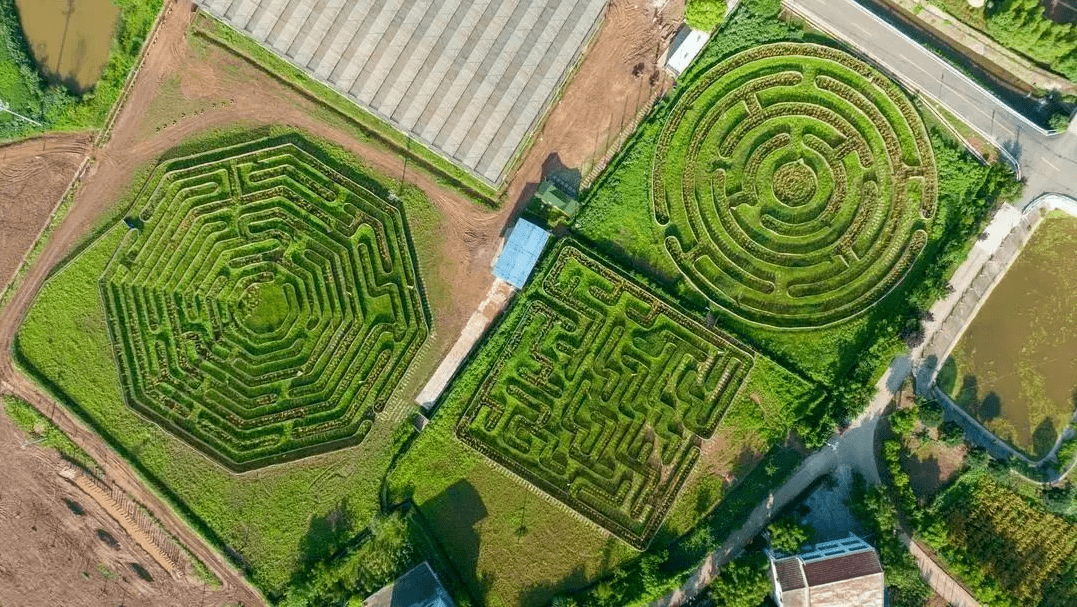 地点:c234亲子乐园参与人员要求:适合所有人群迷宫规则:迷宫分为初级