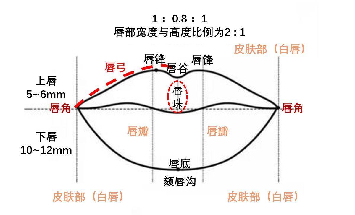 学会这些涂好口红的技巧