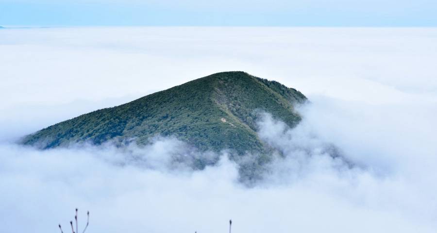 中小家电厂商要“活下去”可以这么干-家电圈官网