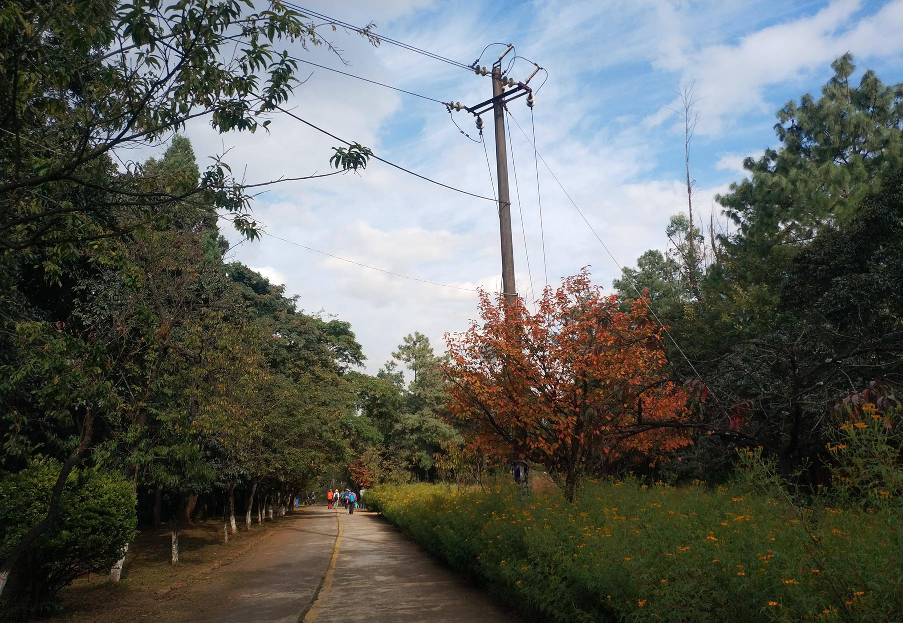 随走昆明郊野公园,拜谒驼峰飞行纪念碑,弹弓箐里遇见有人打弹弓_历史