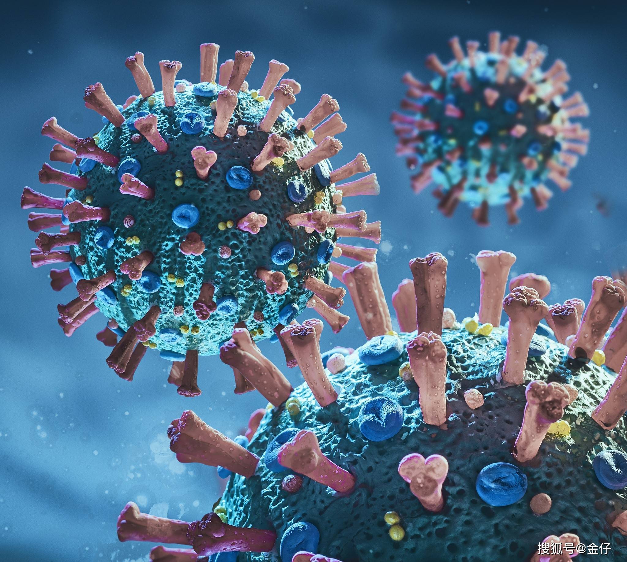 我国已经对新冠病毒感染者检出,是否有其他类型变异株_密克_分支_致病