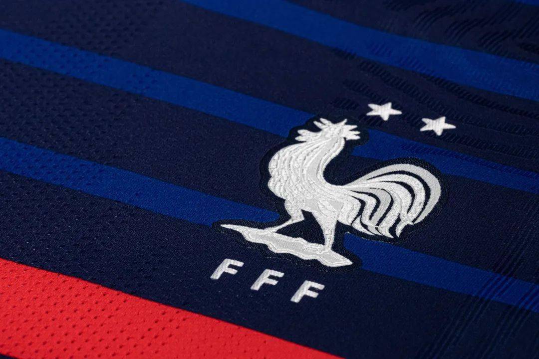 法国队是著名的高卢雄鸡,是法兰西民族的拟物化形象,也是法国的国家