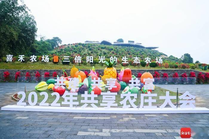 儋州喜禾热带水果主题公园近年来已成为海南网红共享农庄.