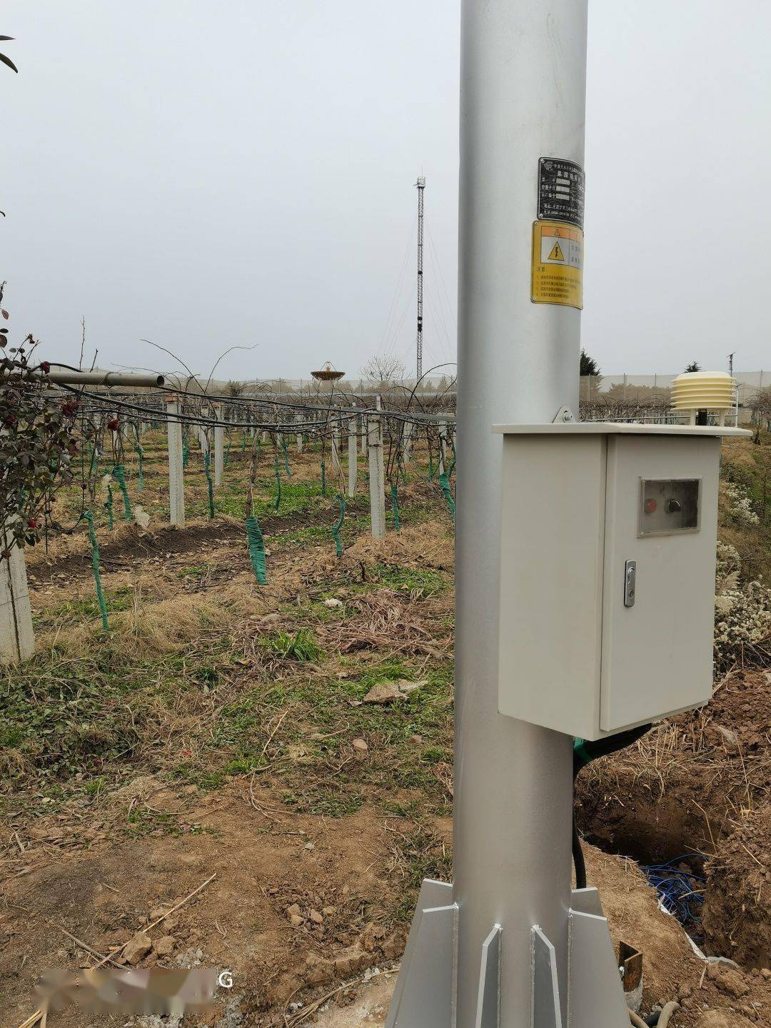 眉县:新型猕猴桃果园防霜冻风机建设成功_晚霜_冻害_防冻