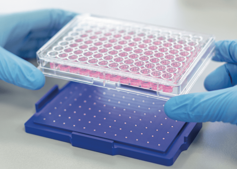 实验技术交流细胞培养篇之培养基选择_合成_血清_成份