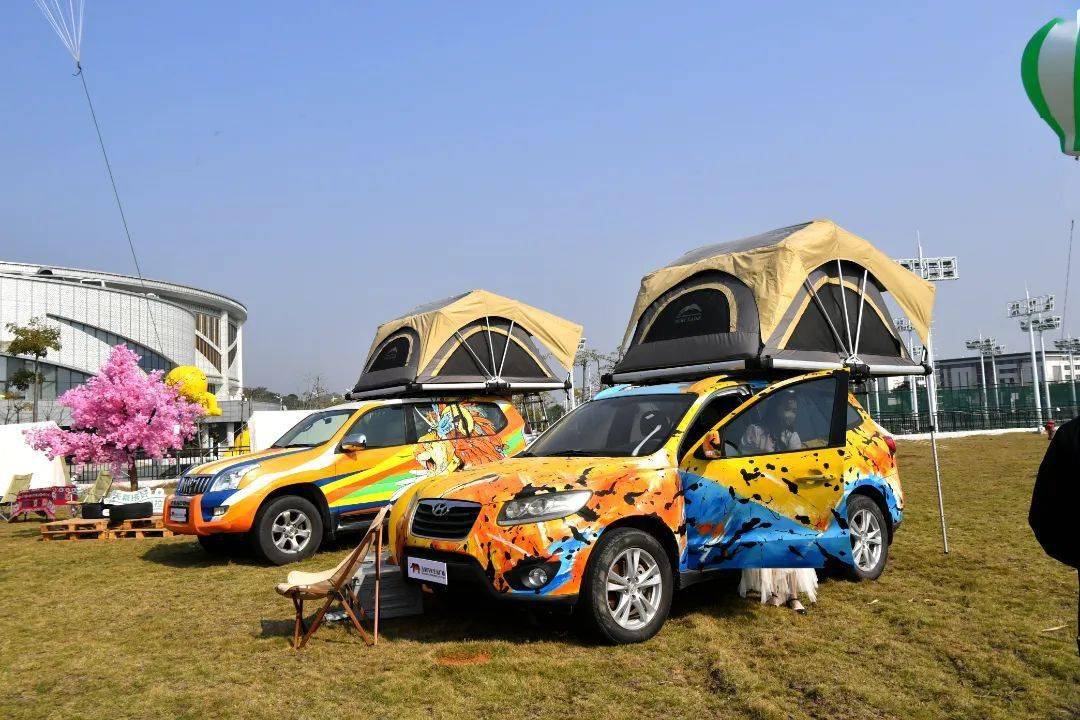 2022年广西汽车旅游大会暨"冬游广西"启动仪式在崇左举行_文化_自治区