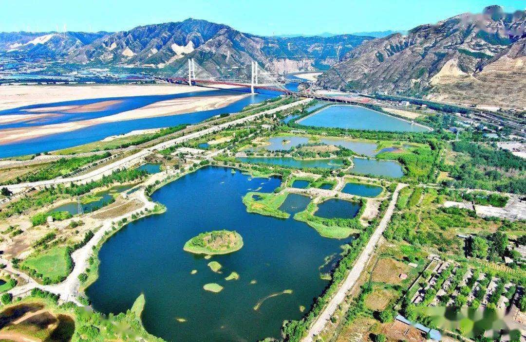 大河之津,"绿"为笔墨绘画图_河津_黄河_生态