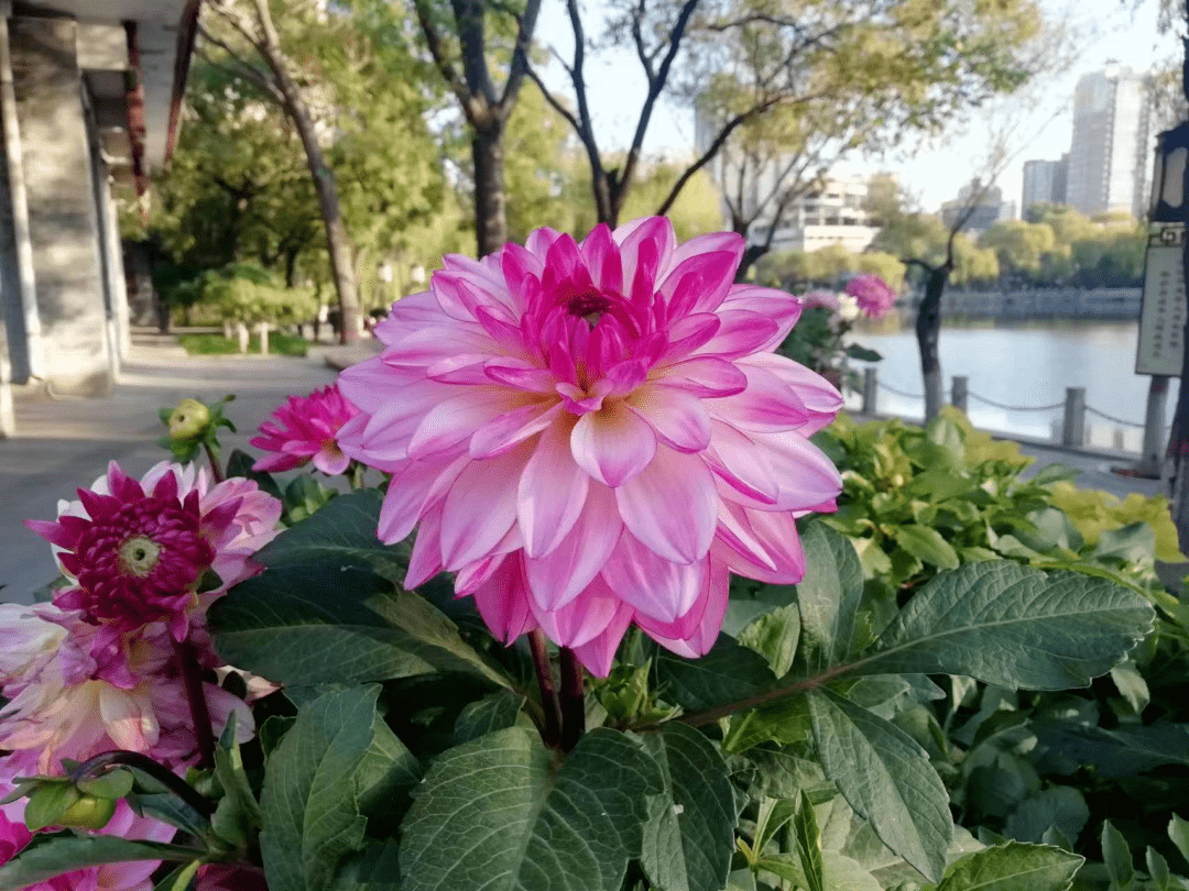冬至丨天时人事日相催，冬至阳生春又来_阳气_皇帝_祭天大典