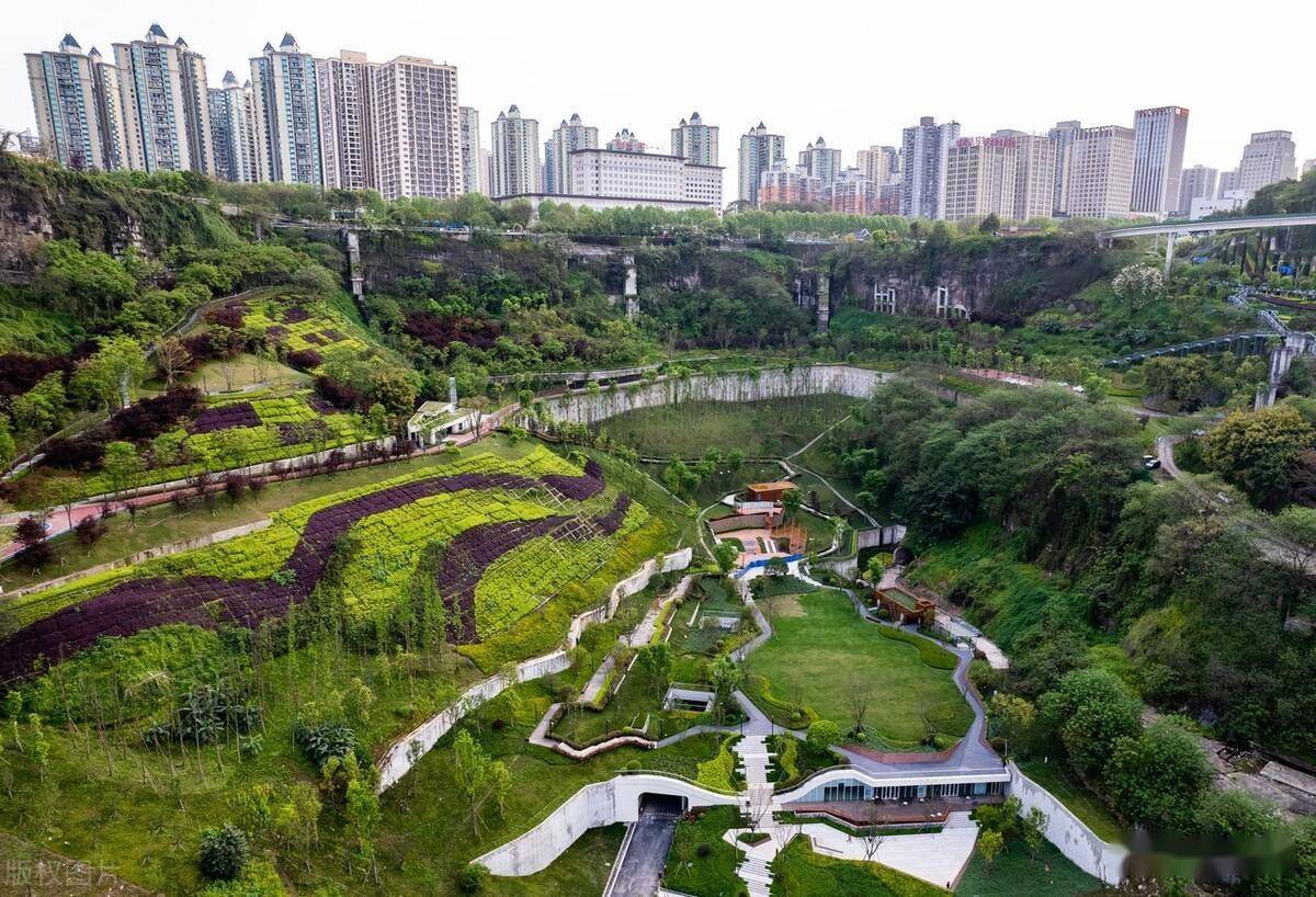 华北地区河溪植被缓冲带建设技术及植被配置