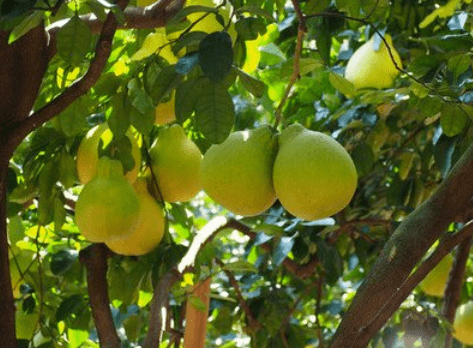 12��24�� | ��ҵ��Щ��