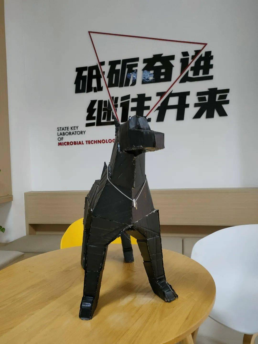 微生物技术研究院张晓坤吴晓华刘帆刘轩宇于蕙源39纸盒猫&狗机械