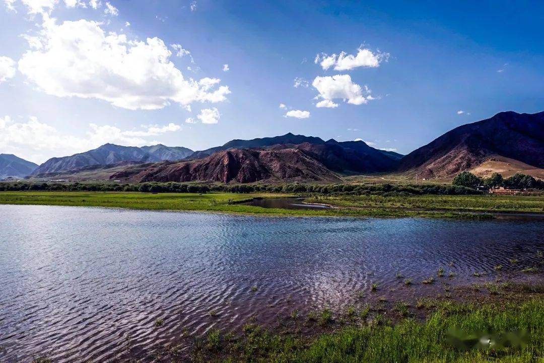 甘南:桑科 · 郭莽湿地_夏河_拉卜楞寺_公园