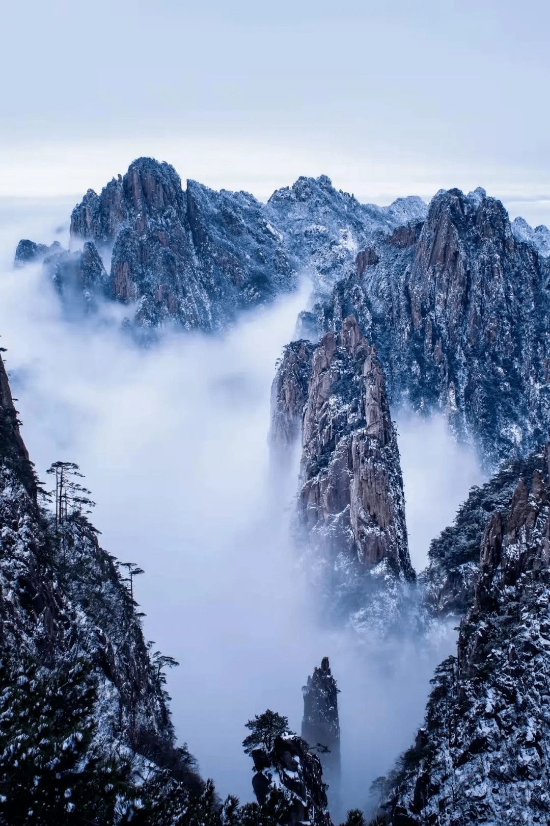 【跟着课文去旅行】读《黄山奇石》感受秀丽神奇的黄山(第十五期)