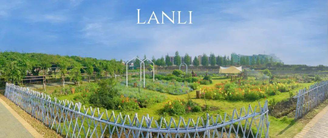 微改造 精提升|杭州兰里景区深耕研学产业_教育_项目_营地