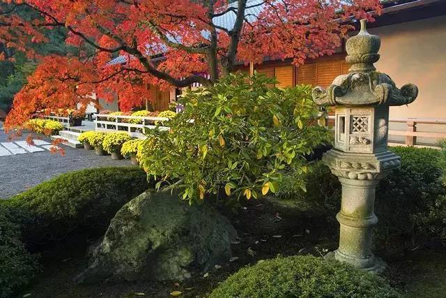 一个十分有名的日本花园，但它不在日本