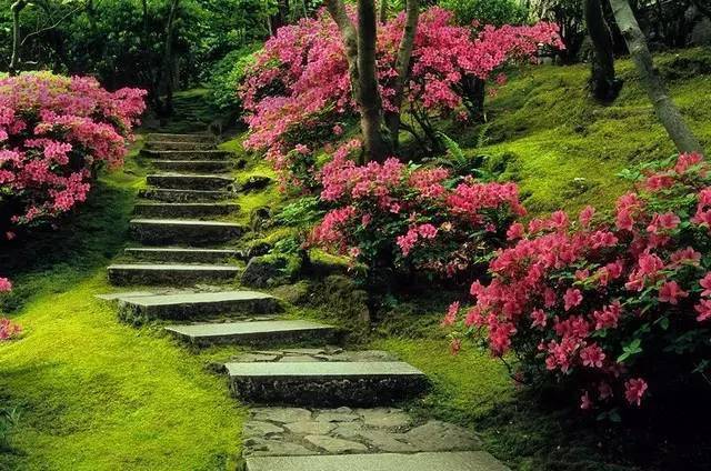 一个十分有名的日本花园，但它不在日本