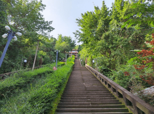 蓬莱公园_阳光_冬日