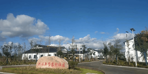 盐城建湖沿河镇:聚力企业做大做强 引领高质量发展_项目_全力_全年