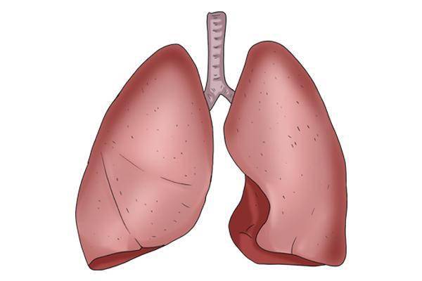 肺部_病毒_症狀