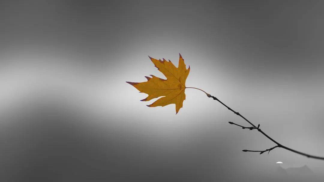 中国诗歌报诗词创作四室第167期合集欣赏_郜书珍_泌阳_李世忠