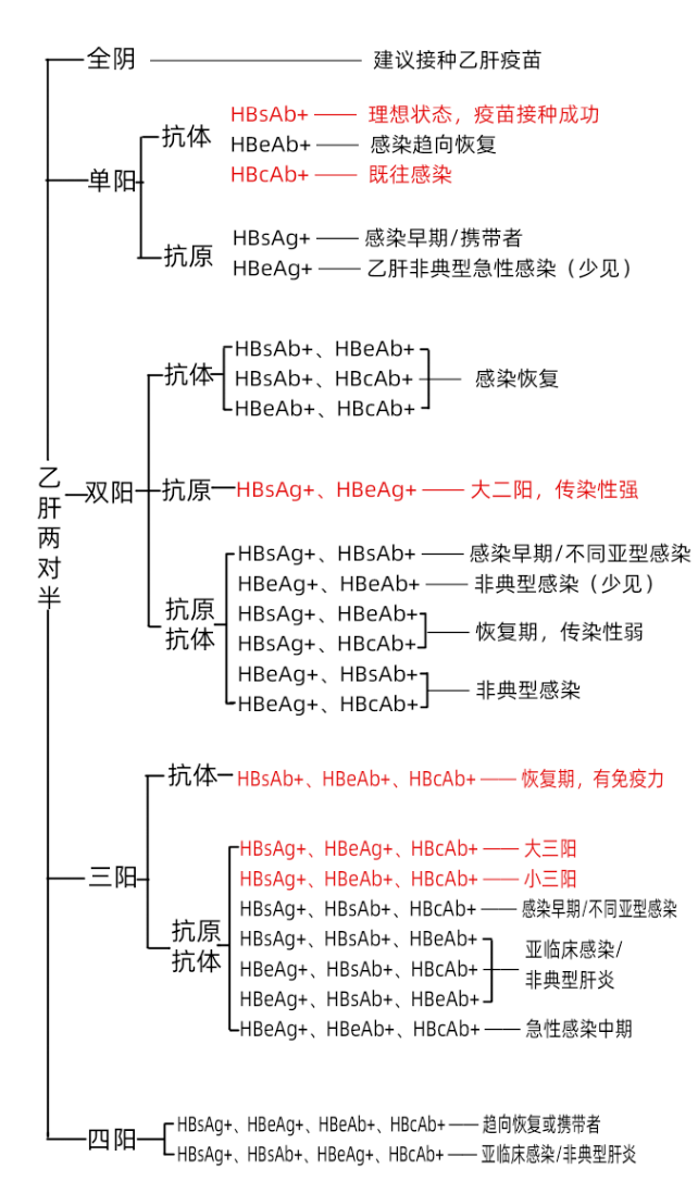 两张思维导图搞定乙肝两对半!_hbsag_hbeag_抗体