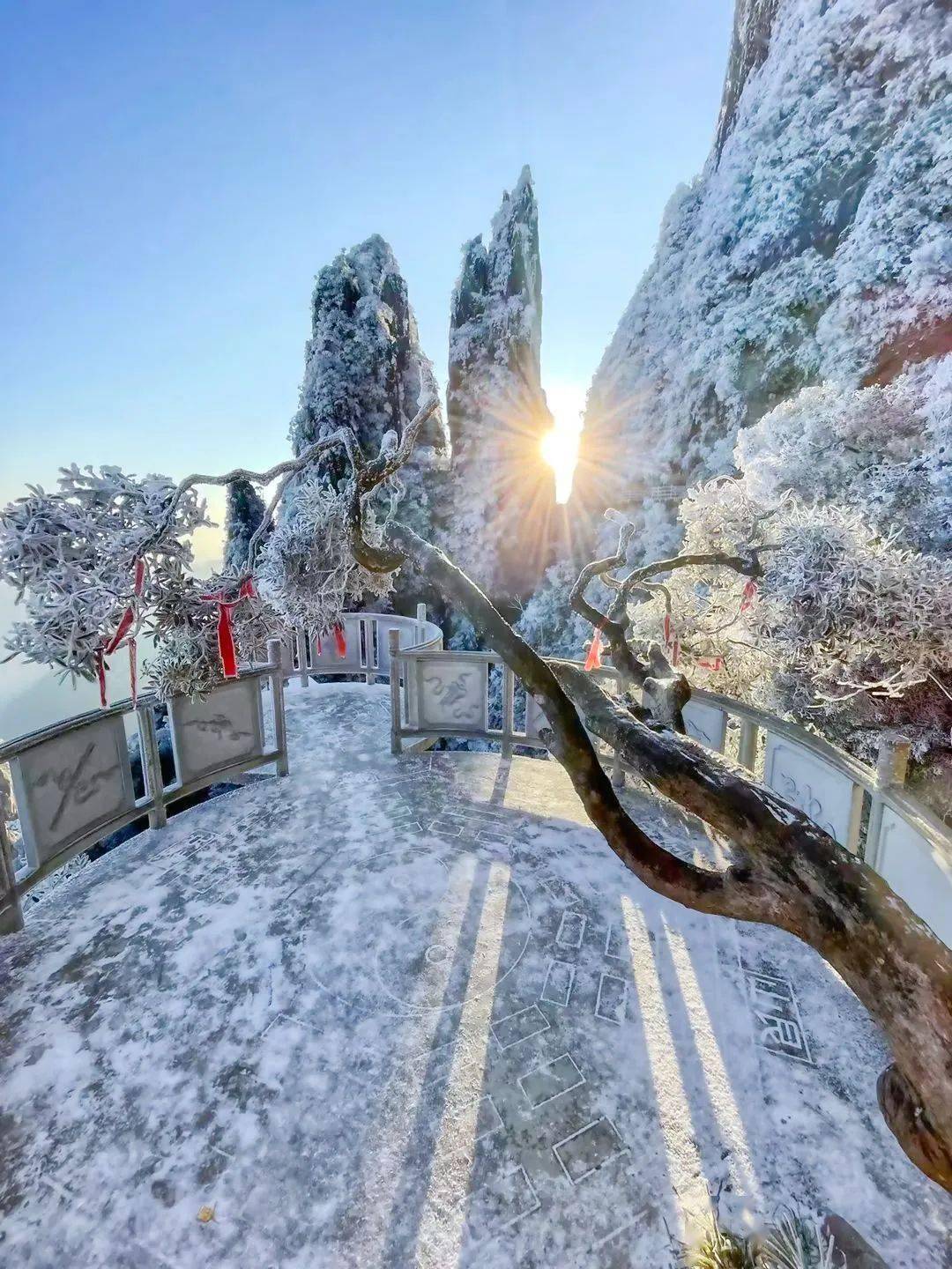 湖南莽山五指峰看雪!新的一年就是期待和你一起看雪~_冬日_雾凇_冰雪