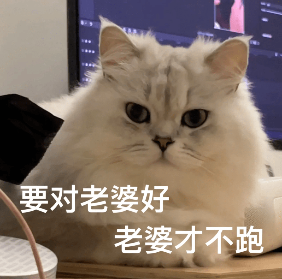 搞笑沙雕表情包 I 喂 你今晚得唔得闲啊_生活_世界_人生