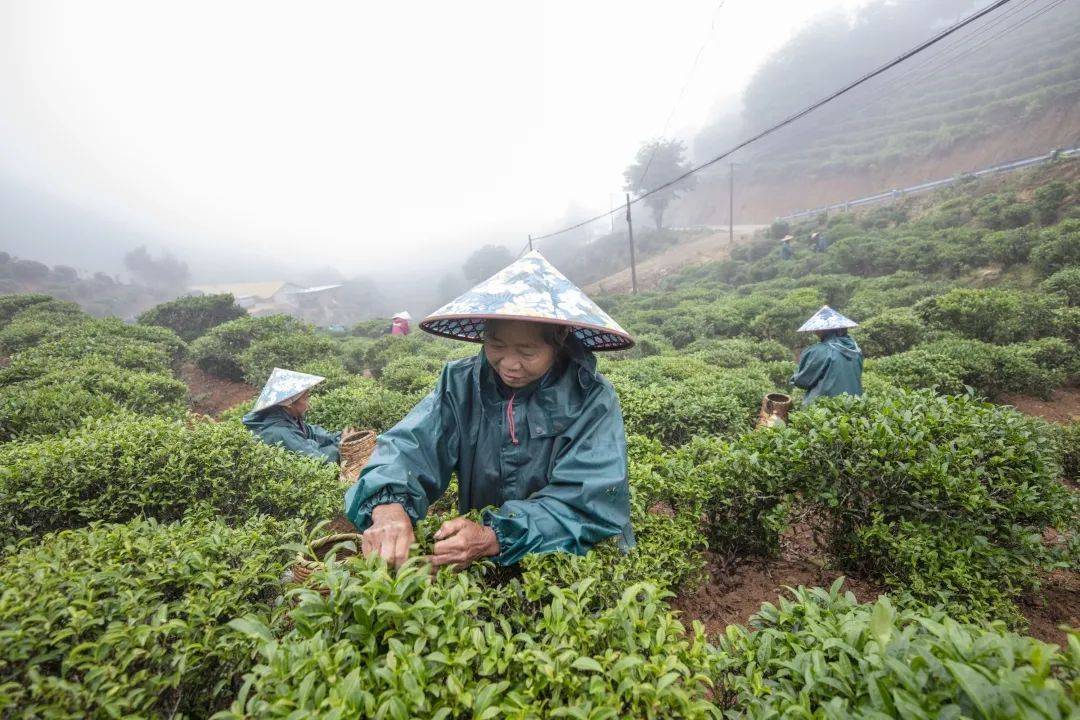 我市首个国度天文标记证明商标出炉！