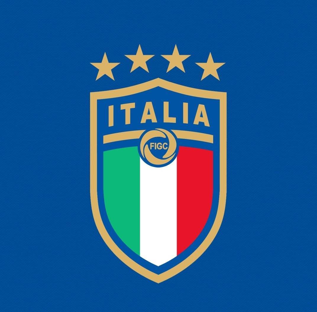 意大利国家队队标图片