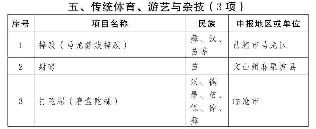 没想到（国家级非物质文化遗产代表性项目名录）国家非物质文化遗产指的是什么 第15张