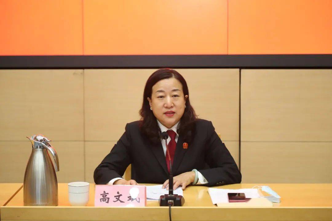 高文斌:如米苔花静静开,挺膺担当自芳华丨第六届北京市审判业务专家