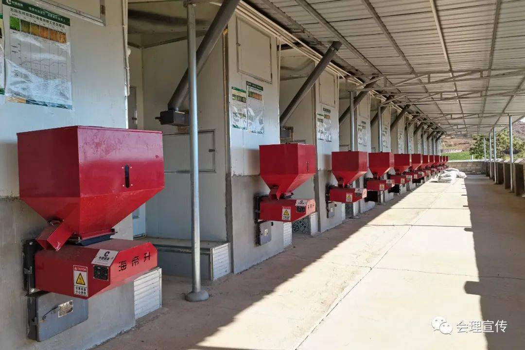 会理:生物质新能源烤房助烟农增收_龙河村_烤烟_建设