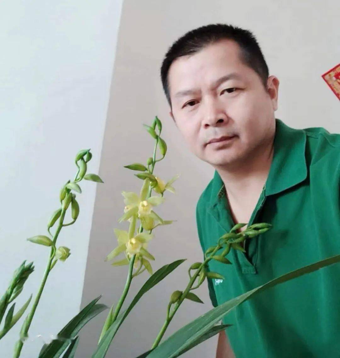 【作家诗文】兰花情||湘湘_幽兰_蝴蝶_记忆