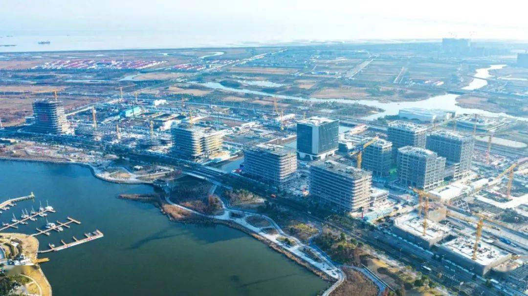 临港103科创总部湾首排地块建筑形态初显_项目_建设_区域