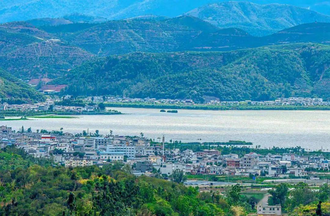 坝心镇:多措并举谋发展 重点突破促振兴_建设_农业_集体经济